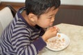 Japanese boy eating cereal