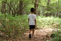 Japanese boy on a hike Royalty Free Stock Photo