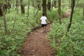 Japanese boy on a hike Royalty Free Stock Photo