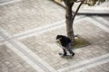 Japanese boy people play and riding skateboard in garden in Ariake town at Koto city in Tokyo, Japan Royalty Free Stock Photo