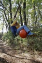 Japanese boy playing with flying fox Royalty Free Stock Photo