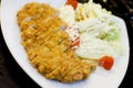 Japanese breaded deep fried pork cutlet Royalty Free Stock Photo