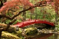 Japanese Bridge Royalty Free Stock Photo