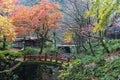 Japanese bridge in the autumn forest Royalty Free Stock Photo