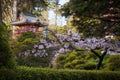 Japanese Building in garden.