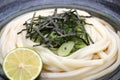 Japanese bukkake udon noodles