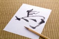 Japanese calligraphy Royalty Free Stock Photo