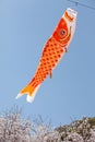 Japanese carp kite