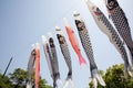 Japanese carp kite streamer Royalty Free Stock Photo