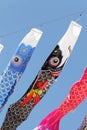 Japanese carp kites