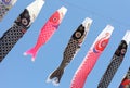 Japanese carp kites