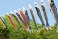 Japanese carp-shaped streamer Royalty Free Stock Photo