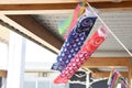 Japanese Carp streamer Koinobori season. In Royalty Free Stock Photo