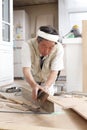 Japanese carpenter masters, skilled technicians,