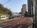 Japanese cars are driving along a city road