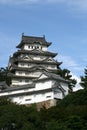 Japanese castle Royalty Free Stock Photo