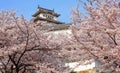 Japanese castle and Beautiful flower