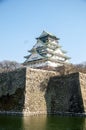 The Japanese castle