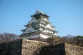 The Japanese castle