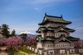 Japanese castle cherry blossom