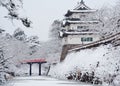 Japanese castle Royalty Free Stock Photo
