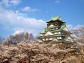 Japanese castle with Sakura blossom Royalty Free Stock Photo