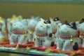 Japanese Cat Dolls at Tokyo shopping streets