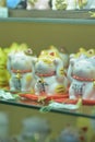 Japanese Cat Dolls at Tokyo shopping streets