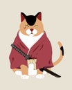 Japanese cat samurai Royalty Free Stock Photo