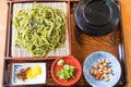 Japanese Cha Soba (Green tea Soba) in dish Royalty Free Stock Photo