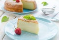 Japanese cheesecake decorated with mint and strawberry