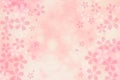 Japanese cherry blossom abstract on pink paper background Royalty Free Stock Photo