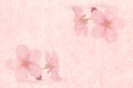 Japanese cherry blossom on pink vintage paper background Royalty Free Stock Photo