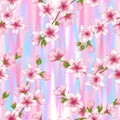 Japanese cherry blossom sakura branches seamless Royalty Free Stock Photo