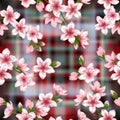 Japanese cherry blossom sakura branches vector seamless pattern. Royalty Free Stock Photo