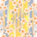 Japanese cherry blossom sakura branches vector seamless pattern Royalty Free Stock Photo