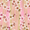 Japanese cherry blossom sakura branches vector seamless pattern. Royalty Free Stock Photo
