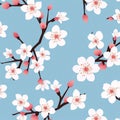 Japanese Cherry Blossoms Flowers background pattern wallpaper vector Royalty Free Stock Photo
