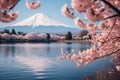 Japanese cherry blossoms frame Mt Fuji at Kawaguchiko lake