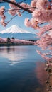 Japanese cherry blossoms frame Mt Fuji at Kawaguchiko lake