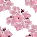 Japanese cherry. Seamless. Bouquet of pink sakura blossom with bud. Royalty Free Stock Photo
