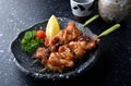 Japanese chicken grill or yakitori.