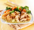 Japanese chicken and shrimp teriyaki on noodles