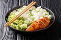 Japanese chicken teriyaki with rice and fresh salad close-up on a plate. horizontal Royalty Free Stock Photo