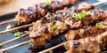 Japanese Chicken yakitori grilled skewers