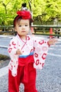 Japanese child in traditional attire, Cherry blossom festival