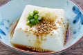 Japanese chilled tofu Royalty Free Stock Photo