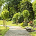 Japanese garden in Rizal Luneta park, Manila, Philippines Royalty Free Stock Photo