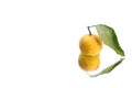 Japanese citron fruit on white water background Royalty Free Stock Photo