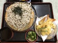 Japanese Cold Soba noodles with shrimp tempura called Zaru Soba